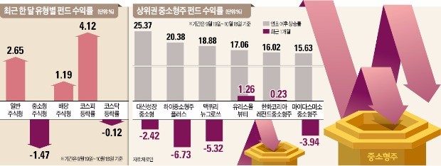 'IT 중소형주 팔까 말까'… 고민에 빠진 펀드매니저들