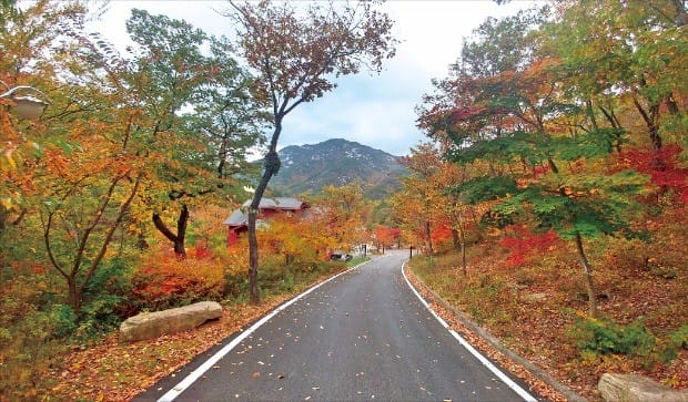 [가을여행] 황정산 절경에 취해 힐링이 절로 ~ 여기가 '옥황상제의 하늘정원' !