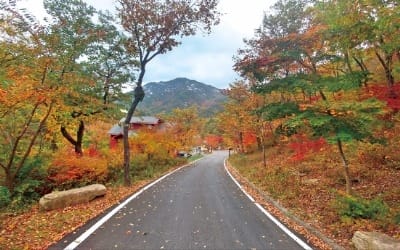  황정산 절경에 취해 힐링이 절로 ~ 여기가 '옥황상제의 하늘정원' !