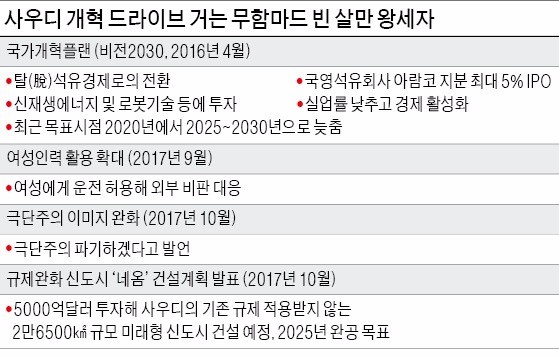 32세 사우디 왕자의 도전… 사막에 석유 안 쓰는 '미래도시' 짓는다