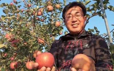  "만원짜리 사과가 열린다" 홍로 처음 재배한 장수군 사과 명인의 비법