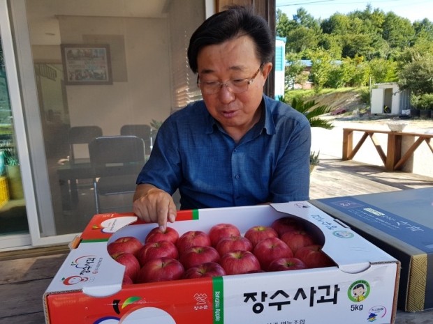 [한경·네이버 FARM] "만원짜리 사과가 열린다" 홍로 처음 재배한 장수군 사과 명인의 비법