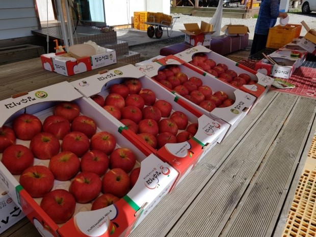 [한경·네이버 FARM] "만원짜리 사과가 열린다" 홍로 처음 재배한 장수군 사과 명인의 비법