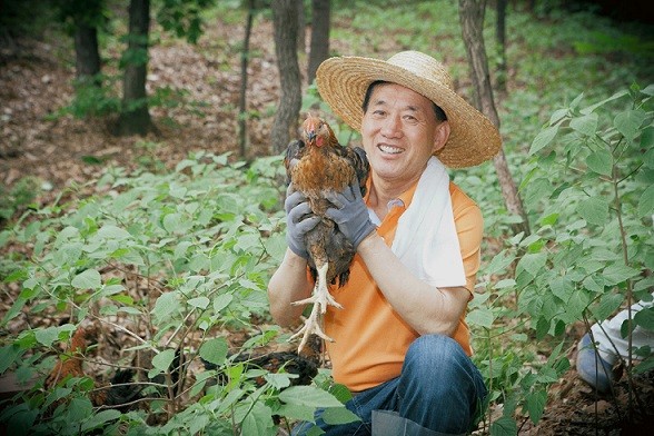 [한경·네이버 FARM] '38만원 들고 상경… 이젠 연 70만 마리 판매' 오골계 대부의 좌충우돌 성공기