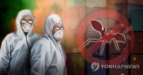 "7년간 해외 병해충 7만건 검출…예견된 불개미 사태"