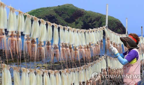 '金징어'된 오징어…10년만에 처음 마리당 4천원 돌파