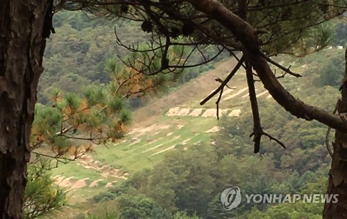 軍 "철원 사망 병사, 도비탄 아닌 직접 날아온 유탄에 맞아"