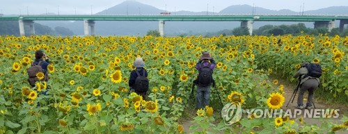 연휴 막바지 맑고 파란 가을하늘…서울, 20㎞까지 탁트인 시야