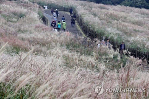 연휴 막바지 맑고 파란 가을하늘…서울, 20㎞까지 탁트인 시야