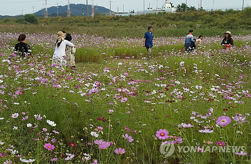 [날씨] 맑고 청명한 '한글날'…낮 더위 이어져