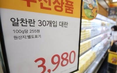 '떨이 끝'… 대형마트 3사 계란값 최고 5880원으로 회귀