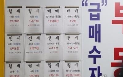 부동산거래가 거짓신고 의심 178명 조사의뢰…25명엔 과태료