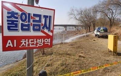 평창올림픽 앞두고 AI 방역 비상…고병원성 여부 '촉각'