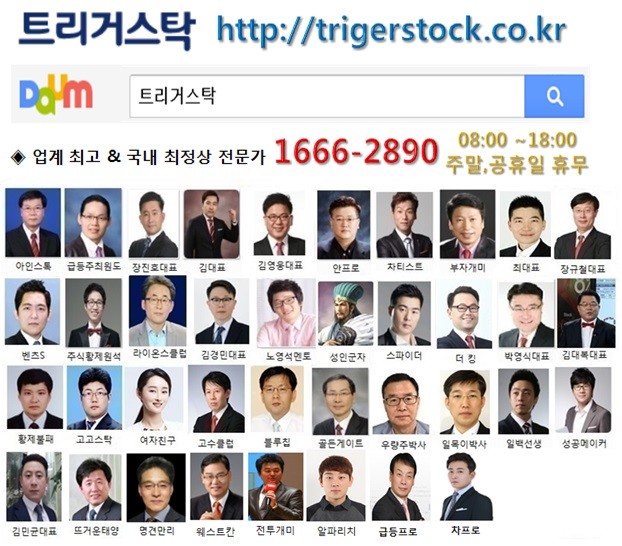 누적 수익률 1위!