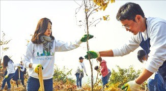 현대자동차 '아이오닉 포레스트' 조성 활동