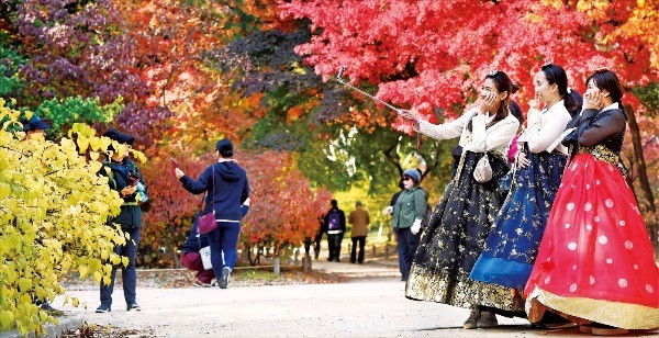 단풍 절정 맞은 창경궁