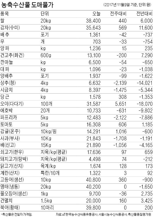 [농수산물 시세] 김장철 앞두고 배추값 싸져