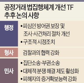 기업분할명령제 등 6개 과제 내년 1월 발표