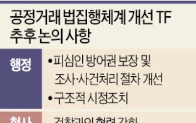 기업분할명령제 등 6개 과제 내년 1월 발표