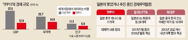 '미국 빠진 TPP' 주도한 일본… 자동차·IT시장 최대 수혜 누린다