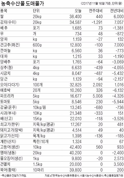 [농수산물 시세] 감귤 값, 작년보다 소폭 올라