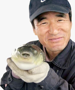 [한경·네이버 FARM] 국책연구원 그만두고 으뜸 복어 '황복' 국내 첫 대량양식 성공…나는 '복' 많은~어부