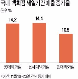 한국도 11월 '파격 할인'… 지갑 활짝 연 소비자들