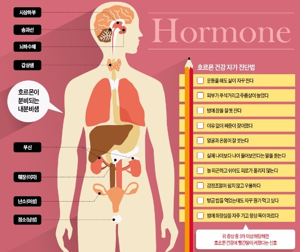 인슐린·성장호르몬·멜라토닌… '몸의 지배자' 호르몬 균형 잡아야 건강
