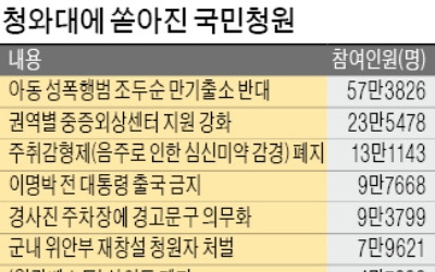 여론 수렴이냐, 왜곡이냐…청와대 '국민청원' 논란