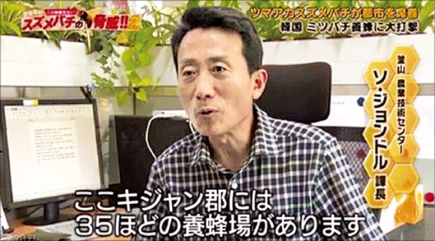 일본 TV 스포트라이트 받은 기장군의 '꿀벌 킬러' 소탕작전