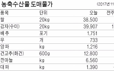  당근값 작년보다 60% '뚝'