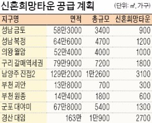 국토부, 신혼희망타운 '로또화' 막는다