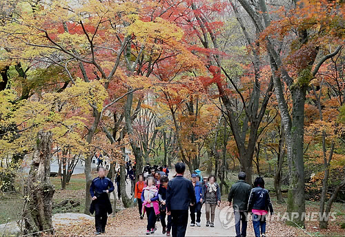 "만산홍엽, 가을이 아쉬워" 전국 유명산·유원지·축제장 '북적'