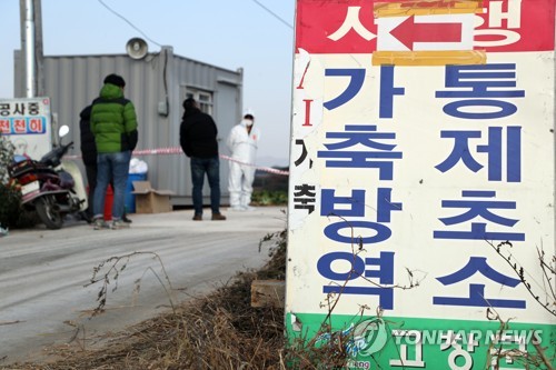 전북도, AI 고병원성 확진에 '비상'… 방역에 총력