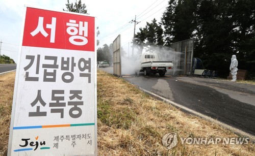 "고창 고병원성 AI, 새로운 유형… 인체감염 위험 크지 않은 듯"