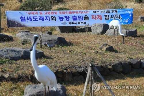 "고창 고병원성 AI, 새로운 유형… 인체감염 위험 크지 않은 듯"