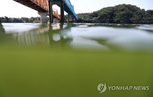 낙동강 창녕·함안 구간 조류경보 '관심' 단계로 완화