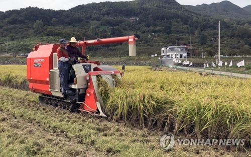 올해 쌀 생산량 400만t 미달…1980년 이후 37년 만에 최소