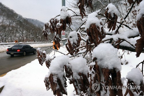 "출근길 운전 조심하세요"…경기남부 대설에 수은주 '뚝'