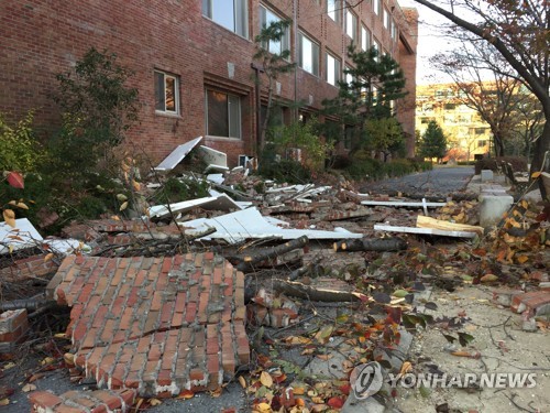 [포항 지진] 전문가들 "숨은 단층 원인일수도… 철저한 조사 필요"