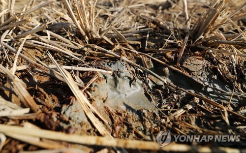 중대본 "포항지진 진앙 주변 액상화 여부 한달 내 결론"