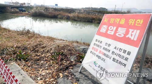 경남 고성천 AI 바이러스 한 곳 저병원성… 한 곳은 검사 중