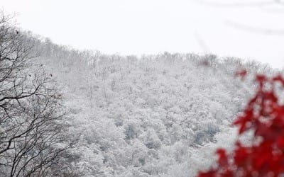 첫 눈 내린 설악산 고지대는 설국…작년보다 일주일 늦어