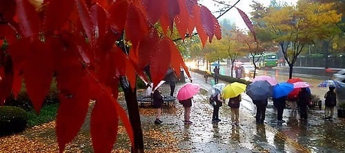 전국 차차 흐려져… 수도권·강원·충청 밤부터 비