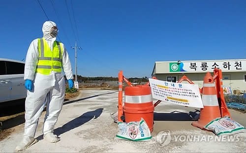 대학수학능력시험을 사흘 앞둔 19일 오전 서울 우이동 도선사에서 자녀의 수능 고득점과 대학 합격 등을 기도하고 있다./김범준기자bjk07@hankyung.com