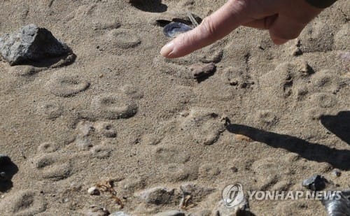 포항 진앙지 인근 공식시추 시작… 액상화 여부 밝힌다