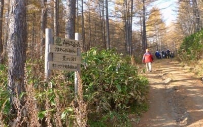 日 지구온난화대책 '삼림환경세' 1만원 2020년 이후 도입