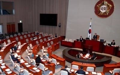 개헌특위, 검사 영장청구권·동일노동 동일임금 공방