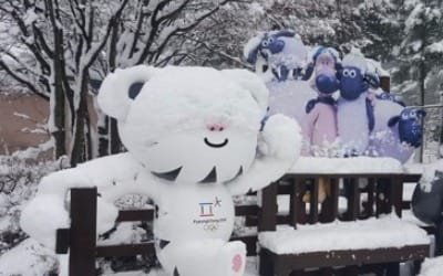 벌써 눈 '펑펑'…평창올림픽 '폭설 뚫을 수 있을까'