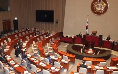 개헌특위… "권력구조 개편 선행돼야" vs "지방분권은 독립 영역"